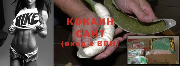 стаф Алзамай
