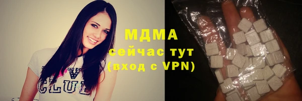 стаф Алзамай