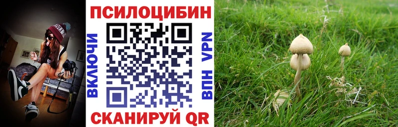 Галлюциногенные грибы Magic Shrooms  MEGA ССЫЛКА  Моздок 