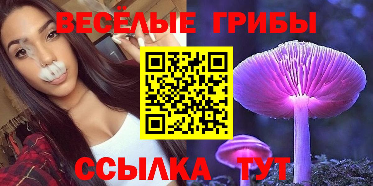 Моздок  Псилоцибиновые грибы прущие грибы  Вход с VPN 