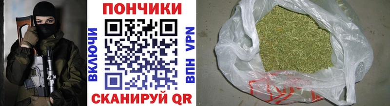 цены наркотик  Моздок  Каннабис семена 